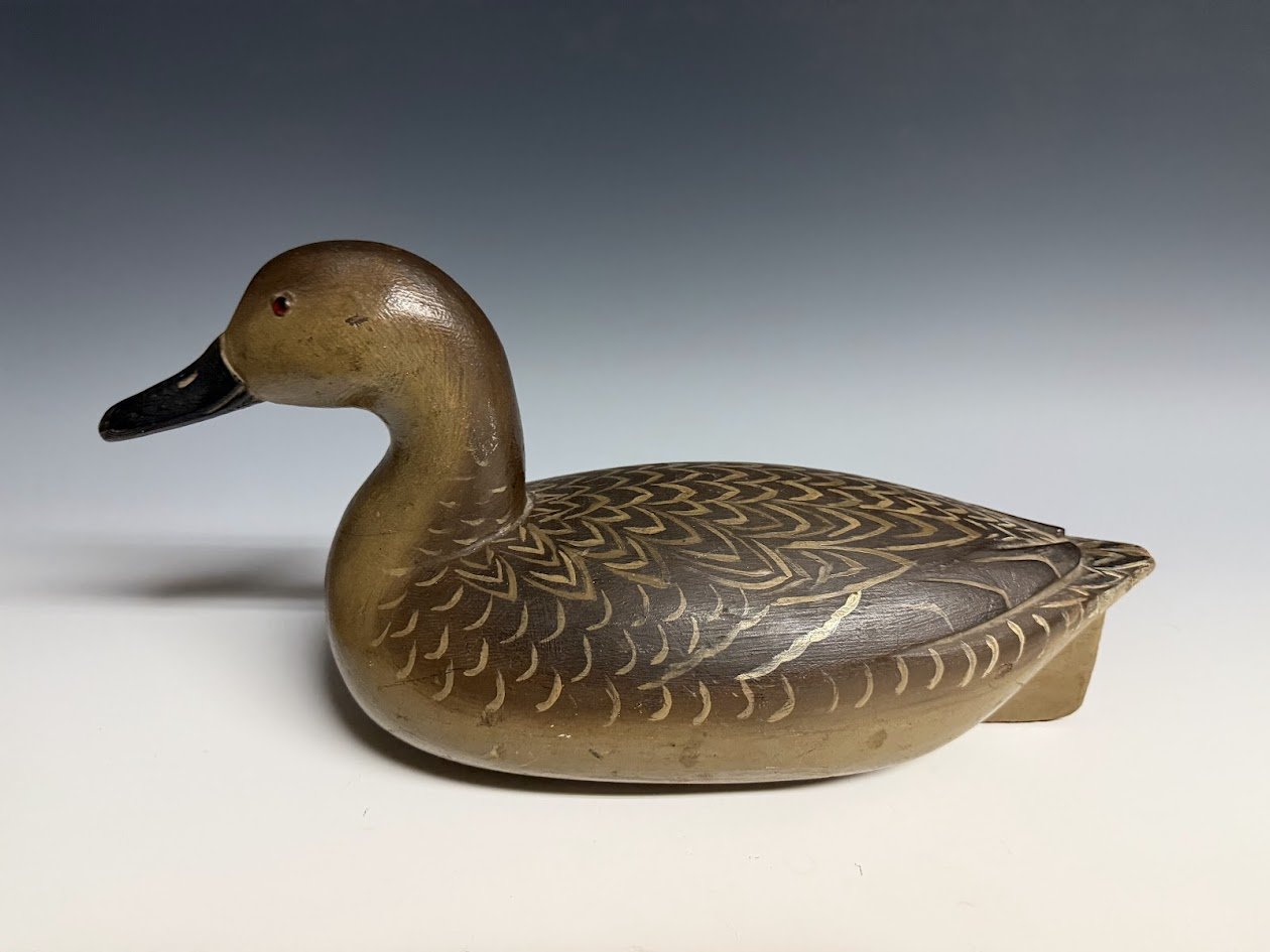 1_10_24_FADPintail2.jpg