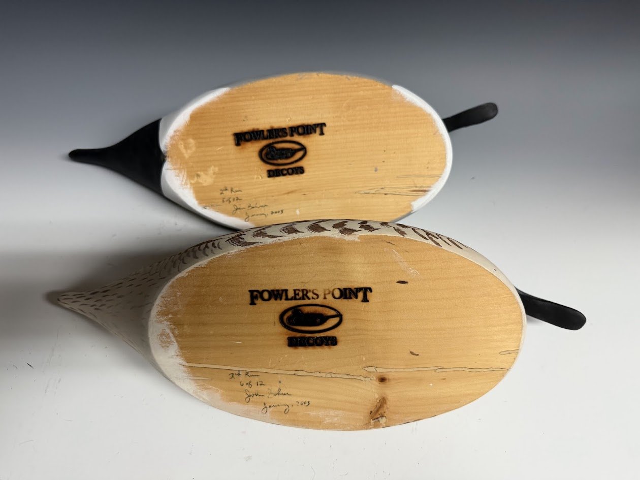 7_8_25_FowlersPointPintailPair4.jpg
