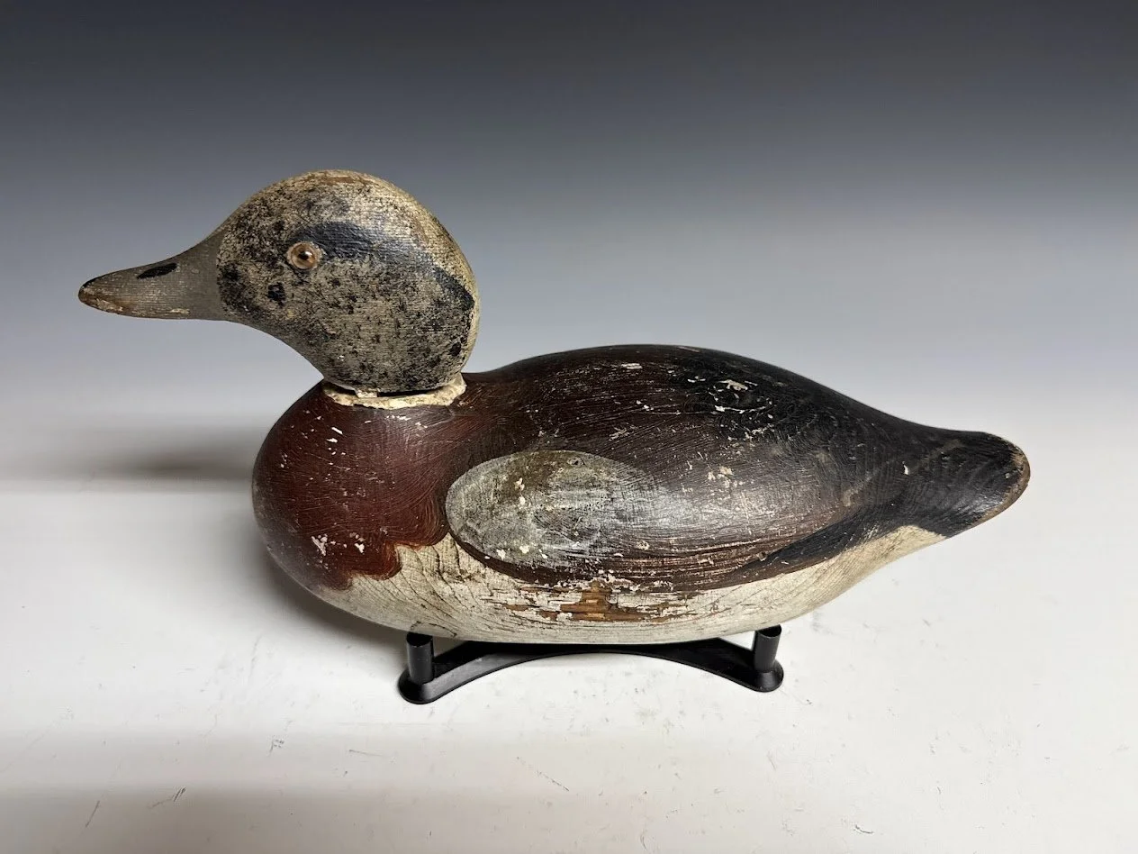 6_8_26_MasonWigeon2.jpg