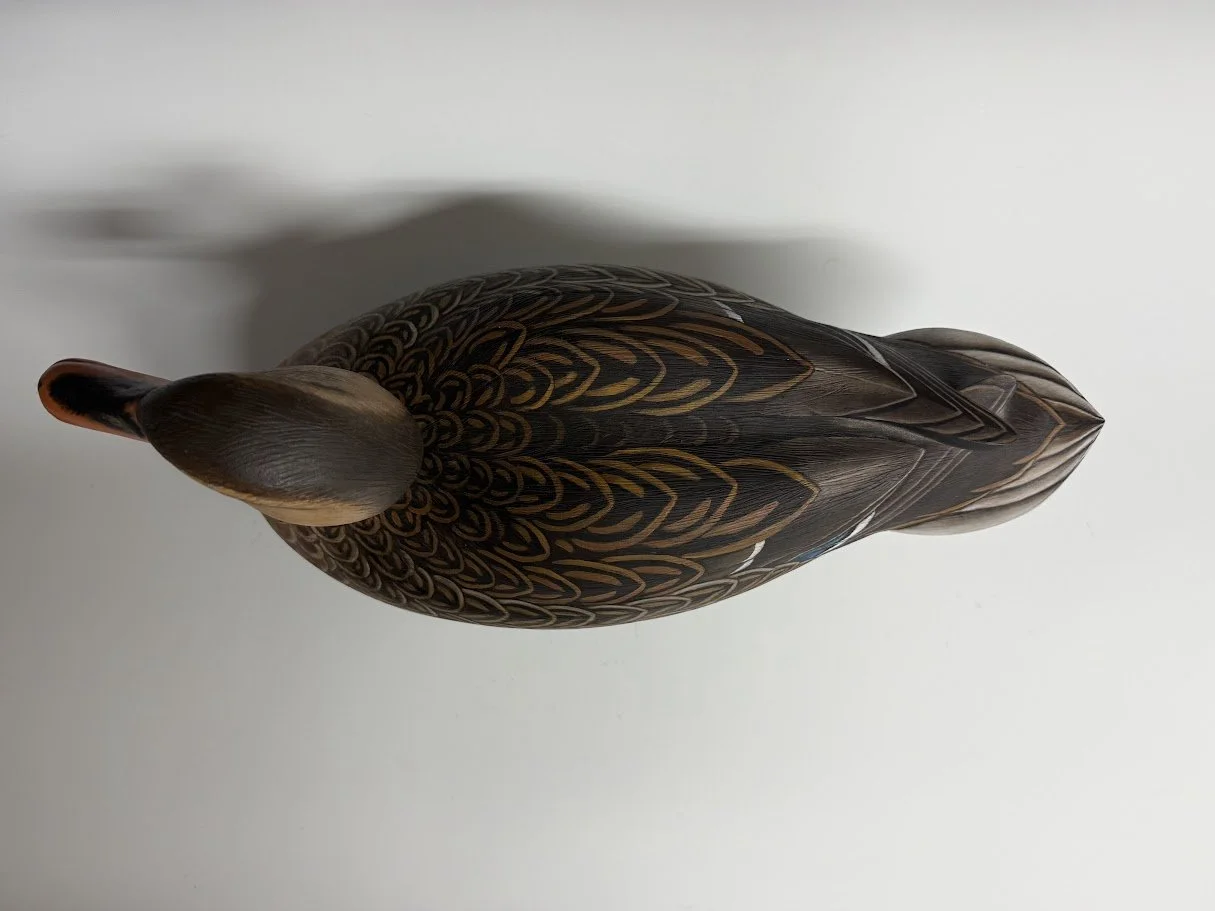 9_2_26_CarsonMallard3.jpg