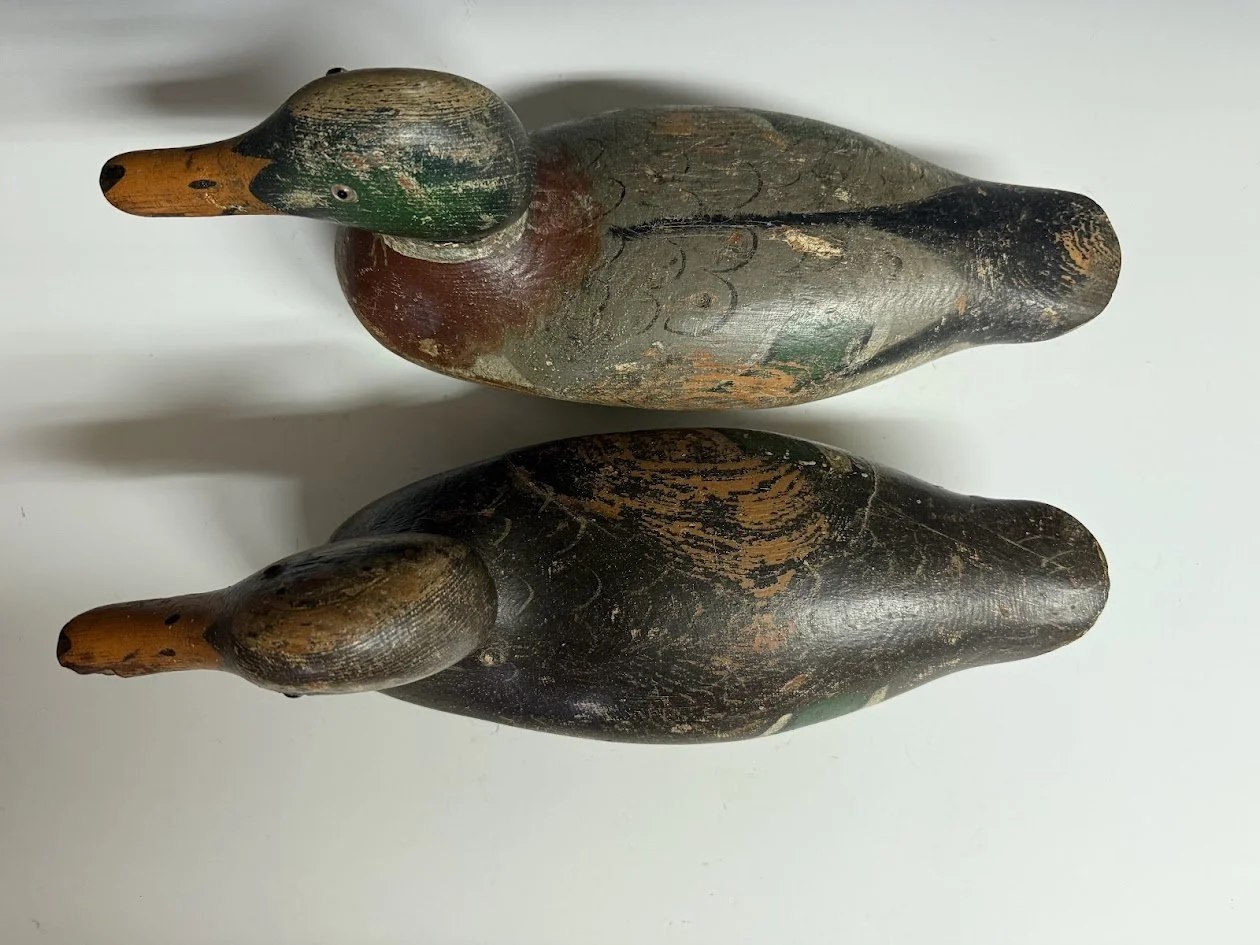 5_15_26_MallardBBPair3.jpg
