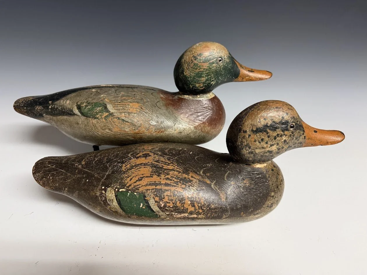 5_15_26_MallardBBPair1.jpg