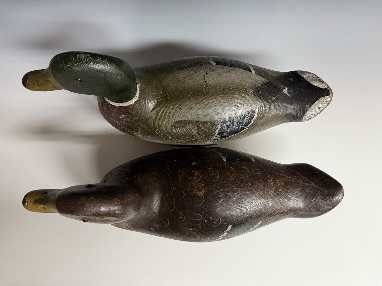 3_21_25_PrattMallardPair3.jpg