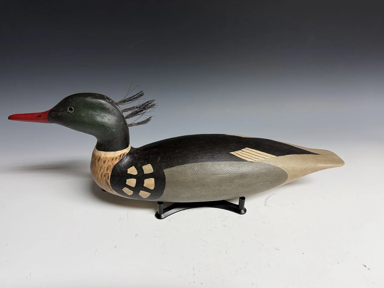 6_9_26_BuckleyMerganser2.jpg