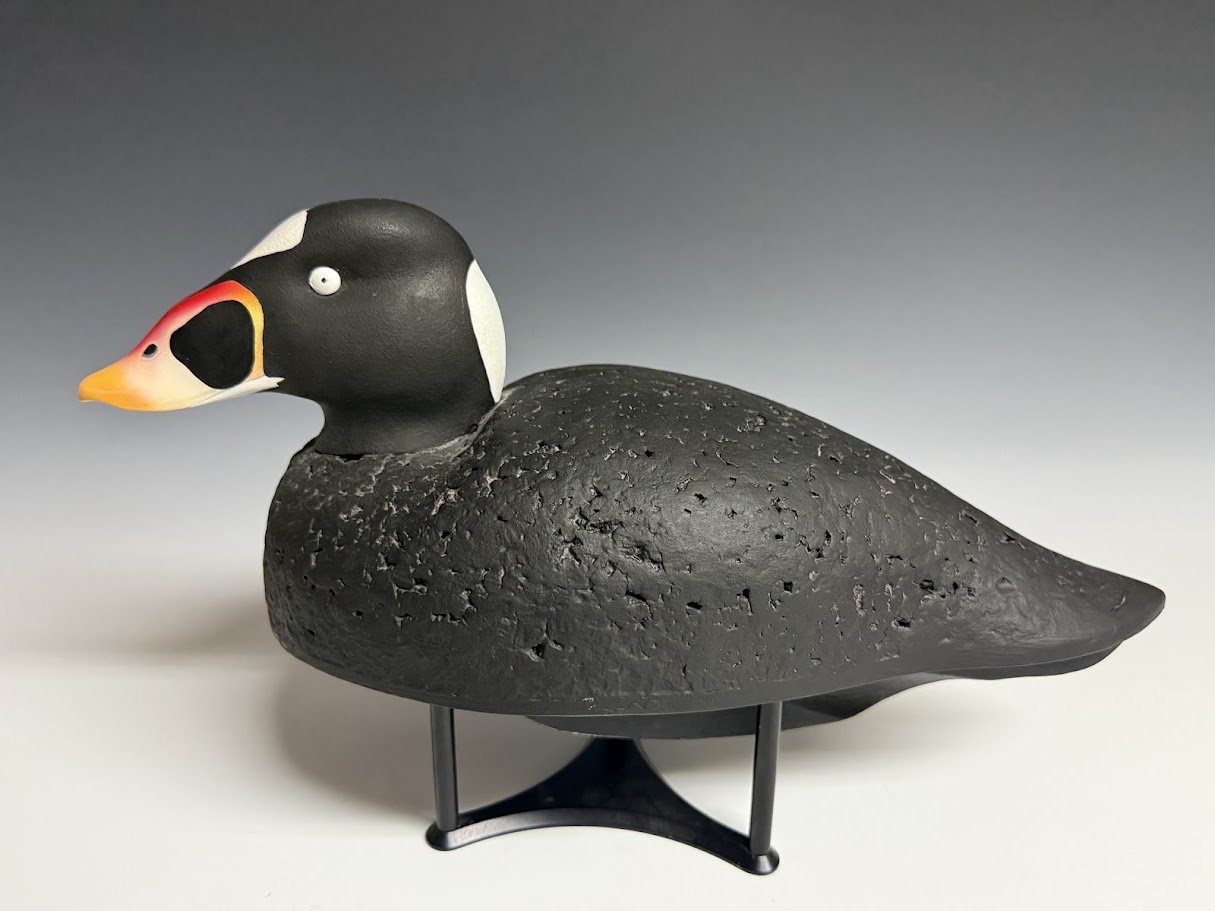 8_29_26_NewellScoter1.jpg