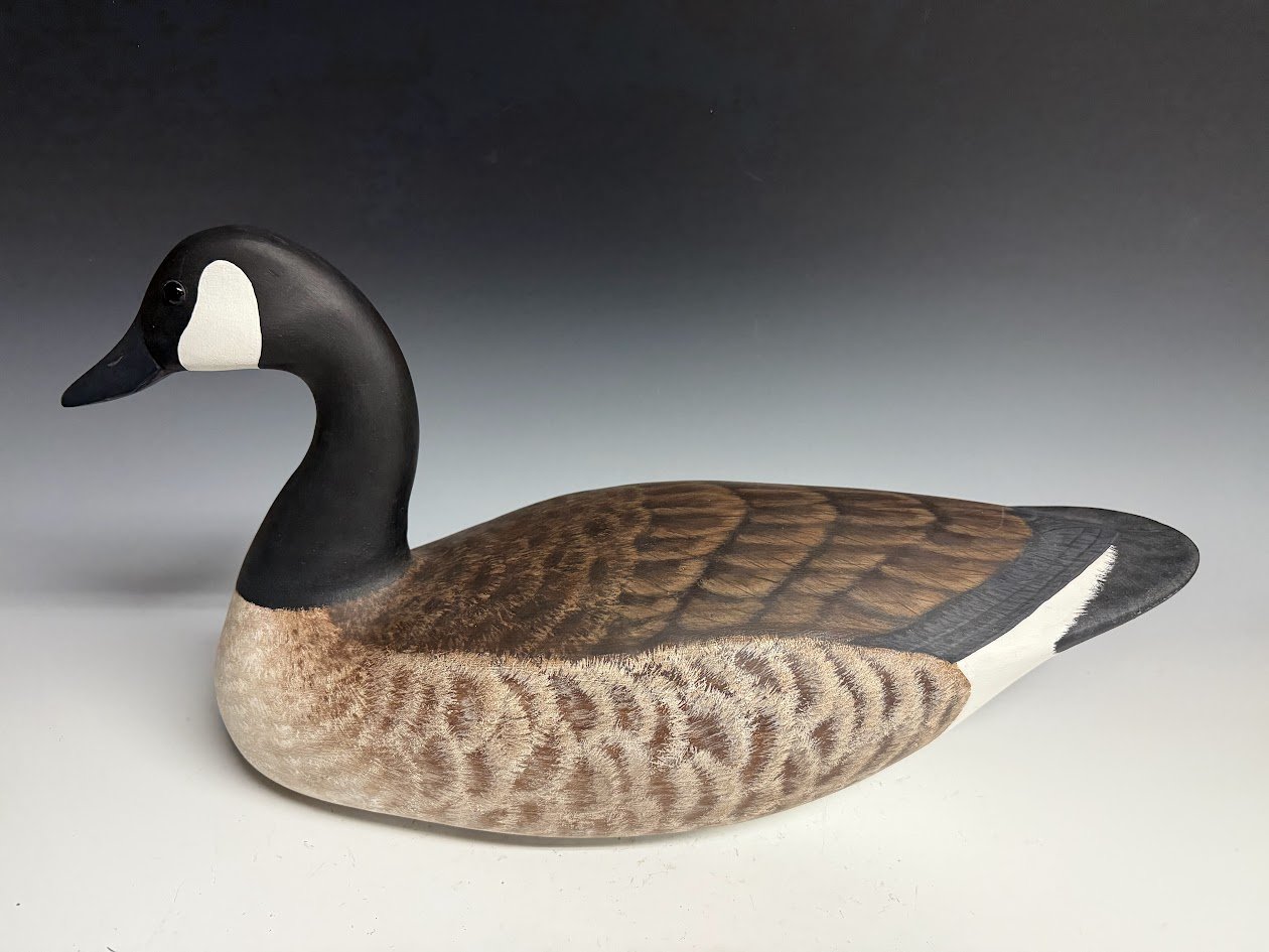 7_18_25_BirdsallCanadaGoose2.jpg