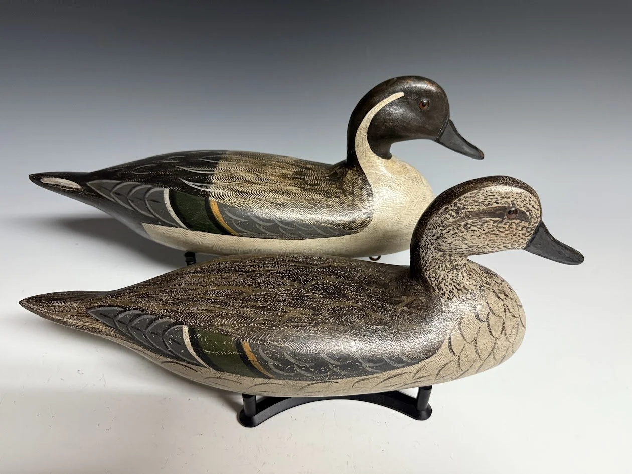 7_18_25_MoorePintails1.jpg