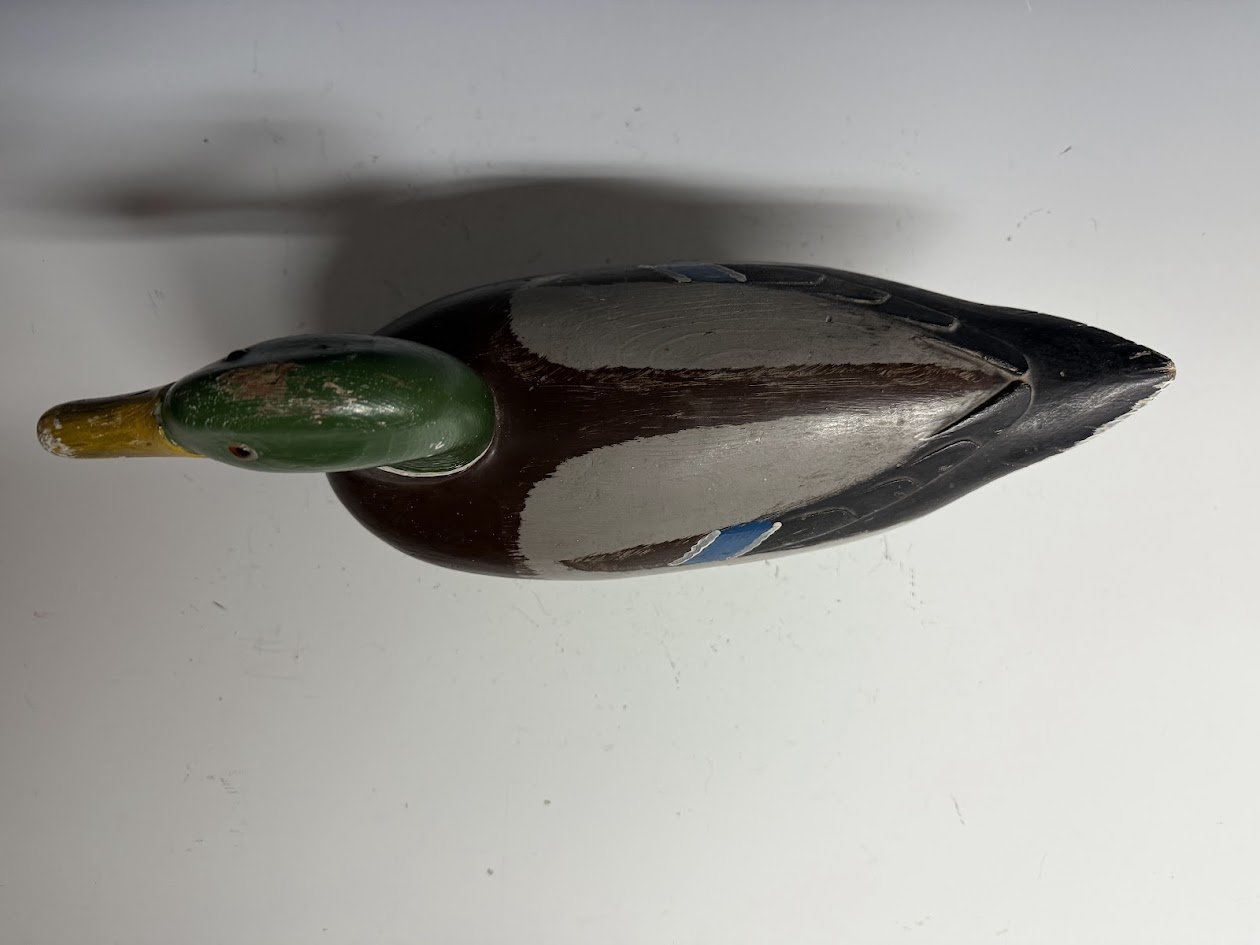 11_27_25_NealMallard3.jpg