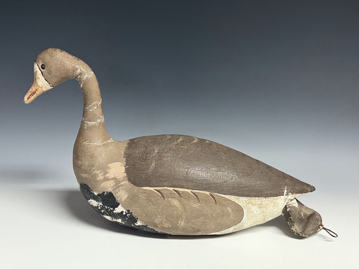 1_26_25_RusselGoose1.jpg