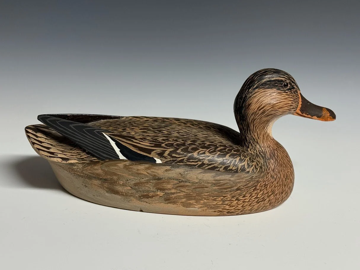 SnyderMallard4.jpg