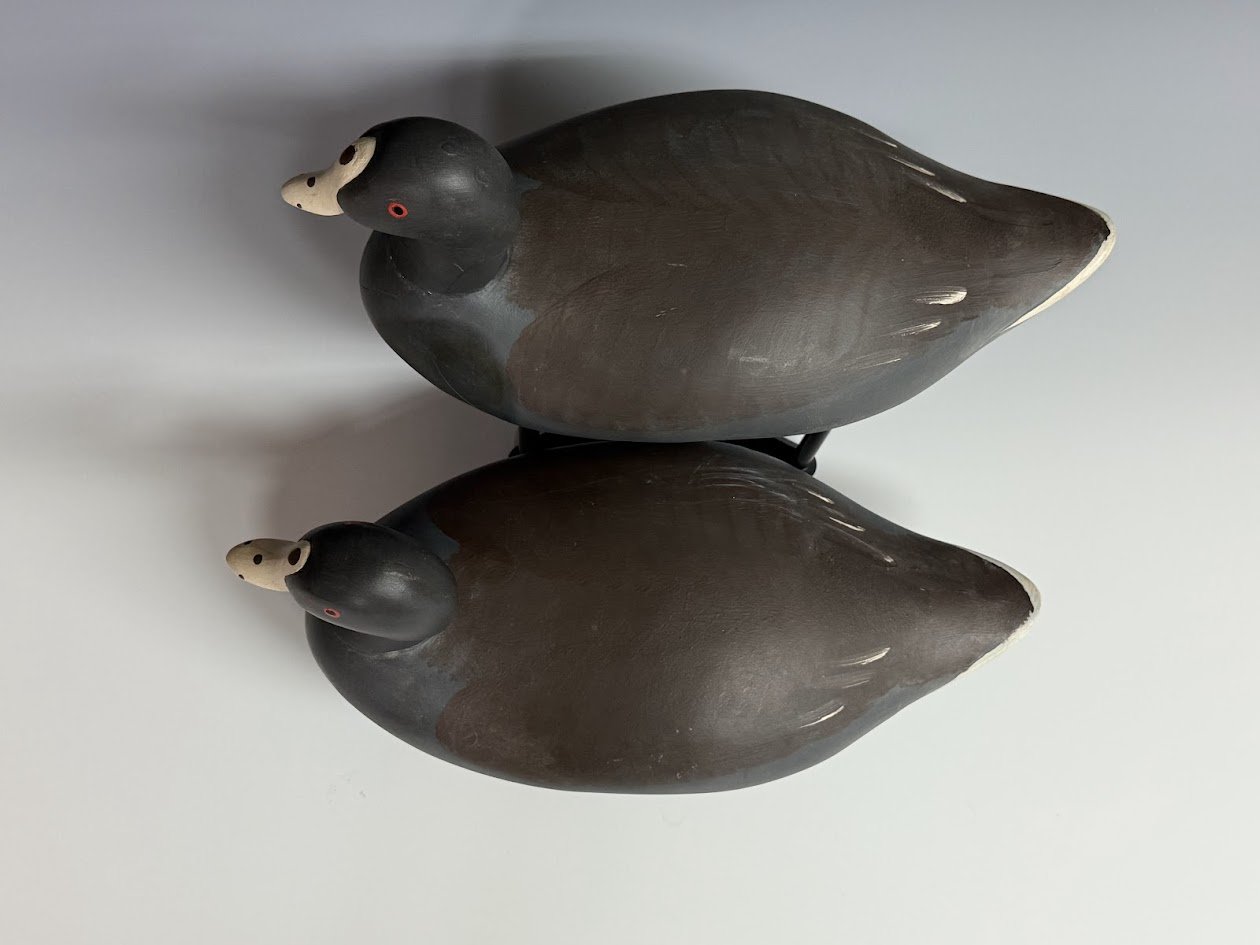 12_10_24_MitchellCootPair3.jpg