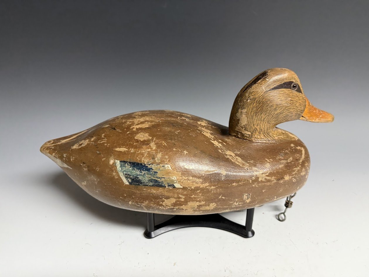 6_21_25_MImallardhen2.jpg