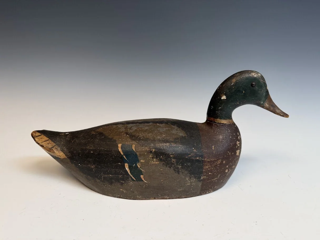 10_17_26_BayMallard1.jpg