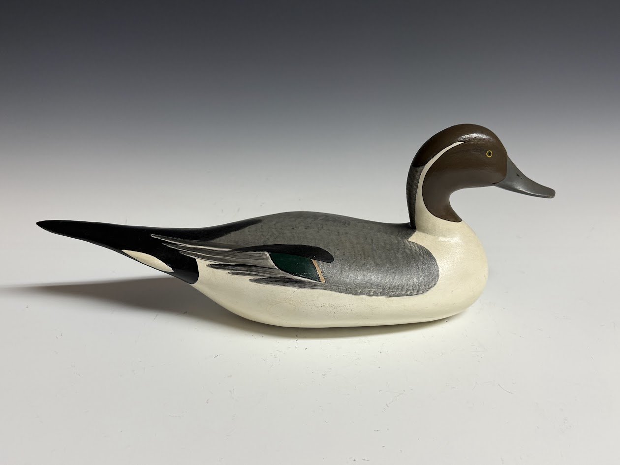 5_12_26_MMPintail1.jpg