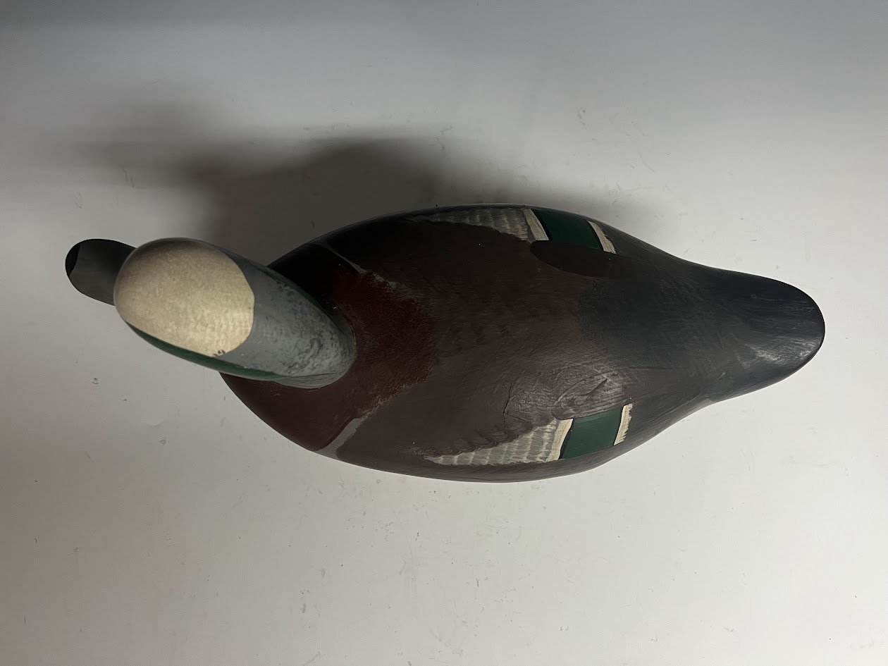 10_4_24_RMMwigeon3.jpg