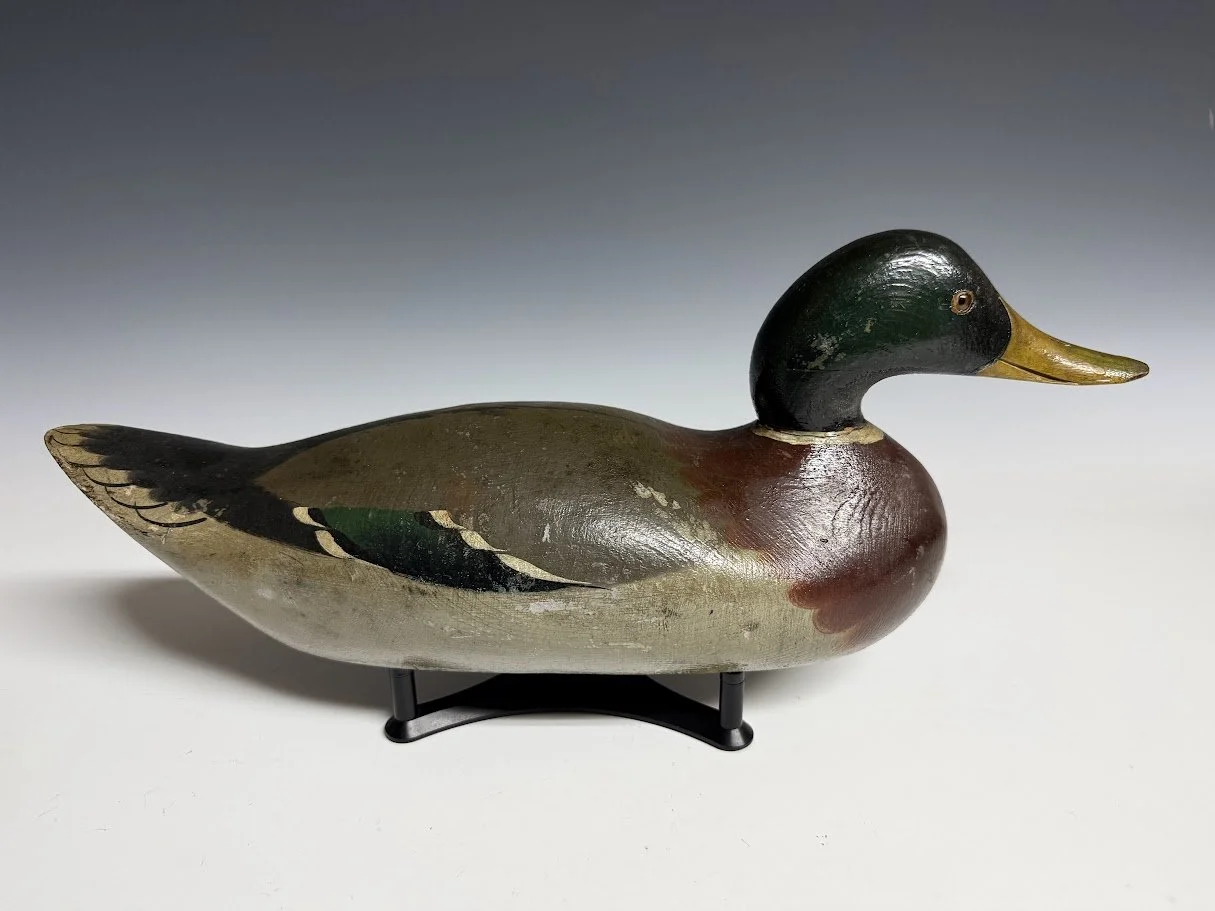 9_6_26_MasonMallard1.jpg