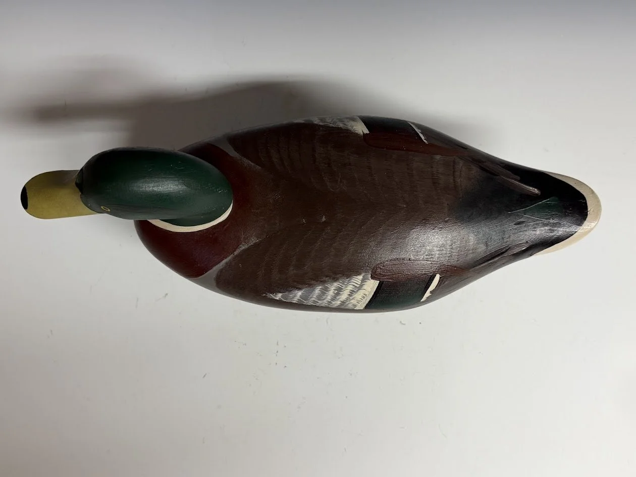 5_12_26_MMmallard3.jpg
