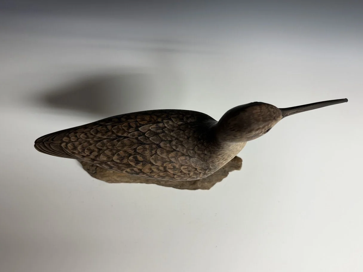 9_10_26_Troon_Curlew_106_3.jpg