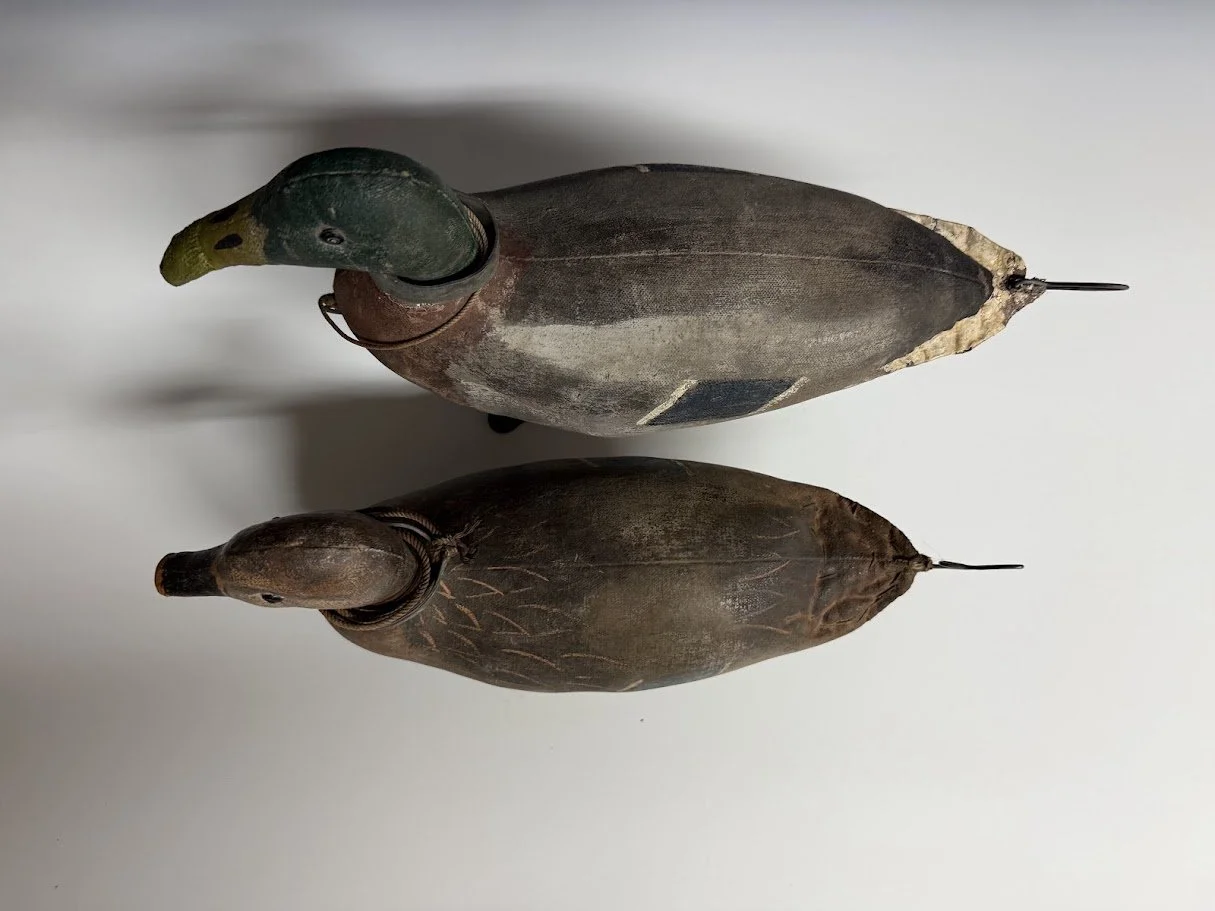 7_24_26_LefeverMallardPair3.jpg