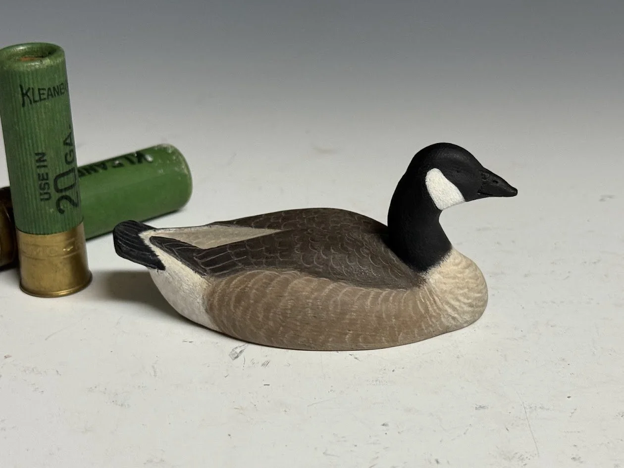 5_13_26_AndersonMiniGoose1.jpg