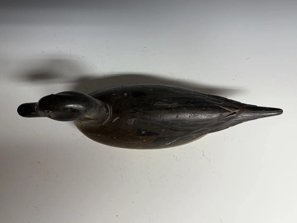11_30_25_FADPintail5.jpg