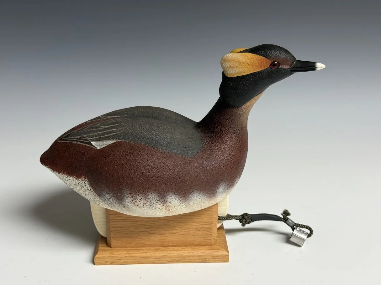 9_10_26_GJBHornedGrebe_82_1.jpg