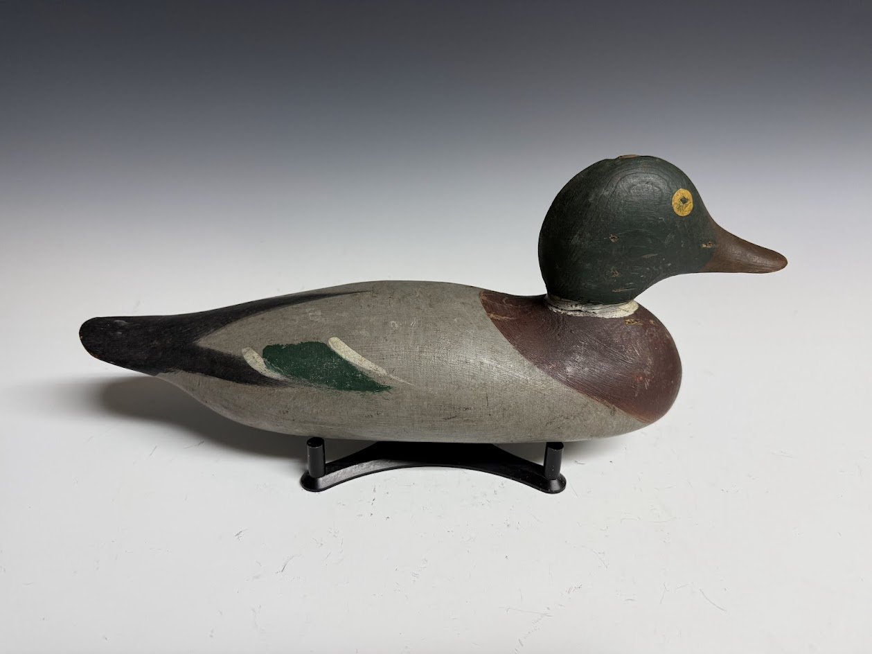 5_19_26_MasonMallardThree_1.jpg