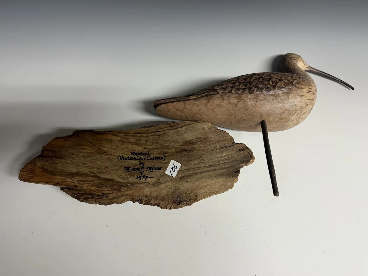 9_10_26_Troon_Curlew_106_4.jpg