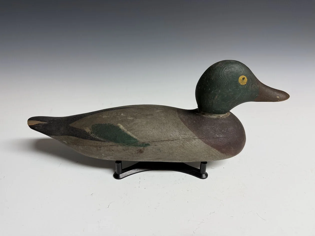 5_19_26_MasonMallardTwo_1.jpg
