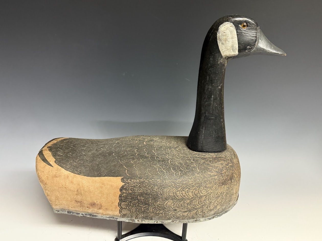3_28_25_HertersHighHeadGoose1.jpg