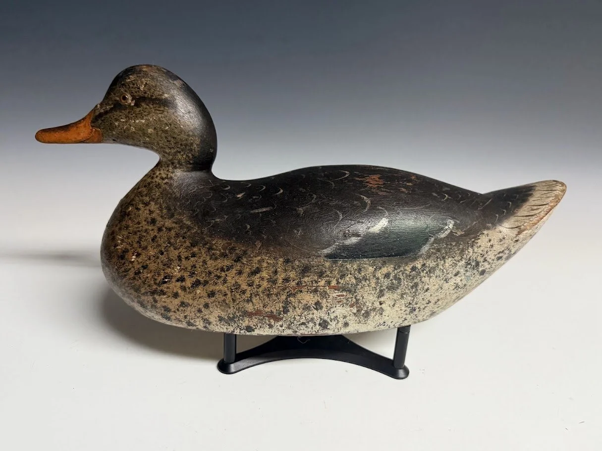 8_28_26_MasonPremierMallard4.jpg