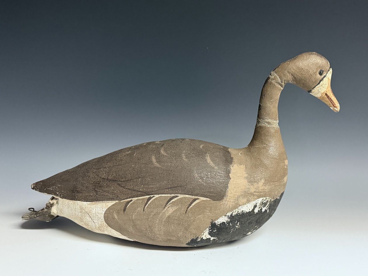 1_26_25_RusselGoose2.jpg