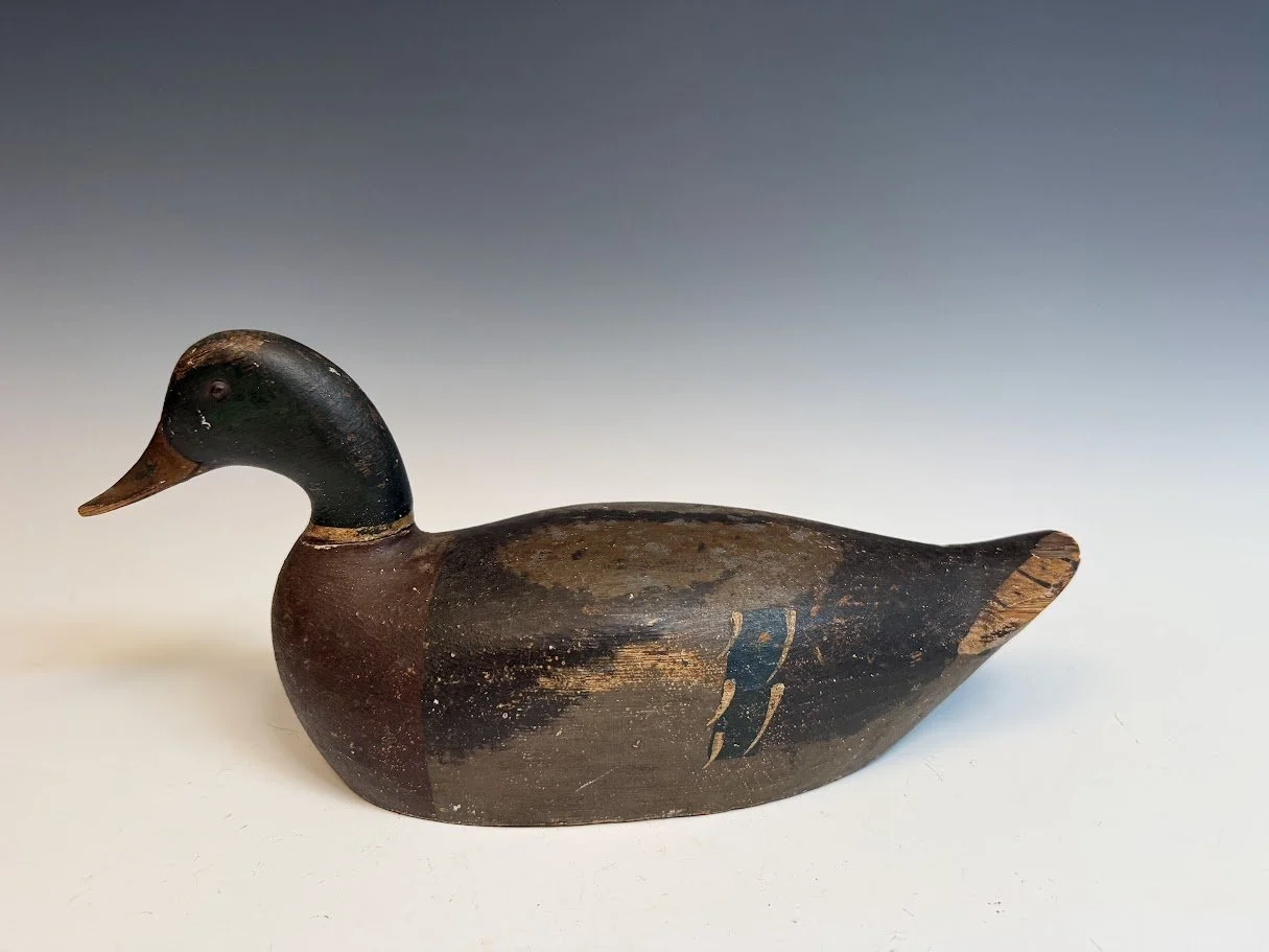 10_17_26_BayMallard2.jpg