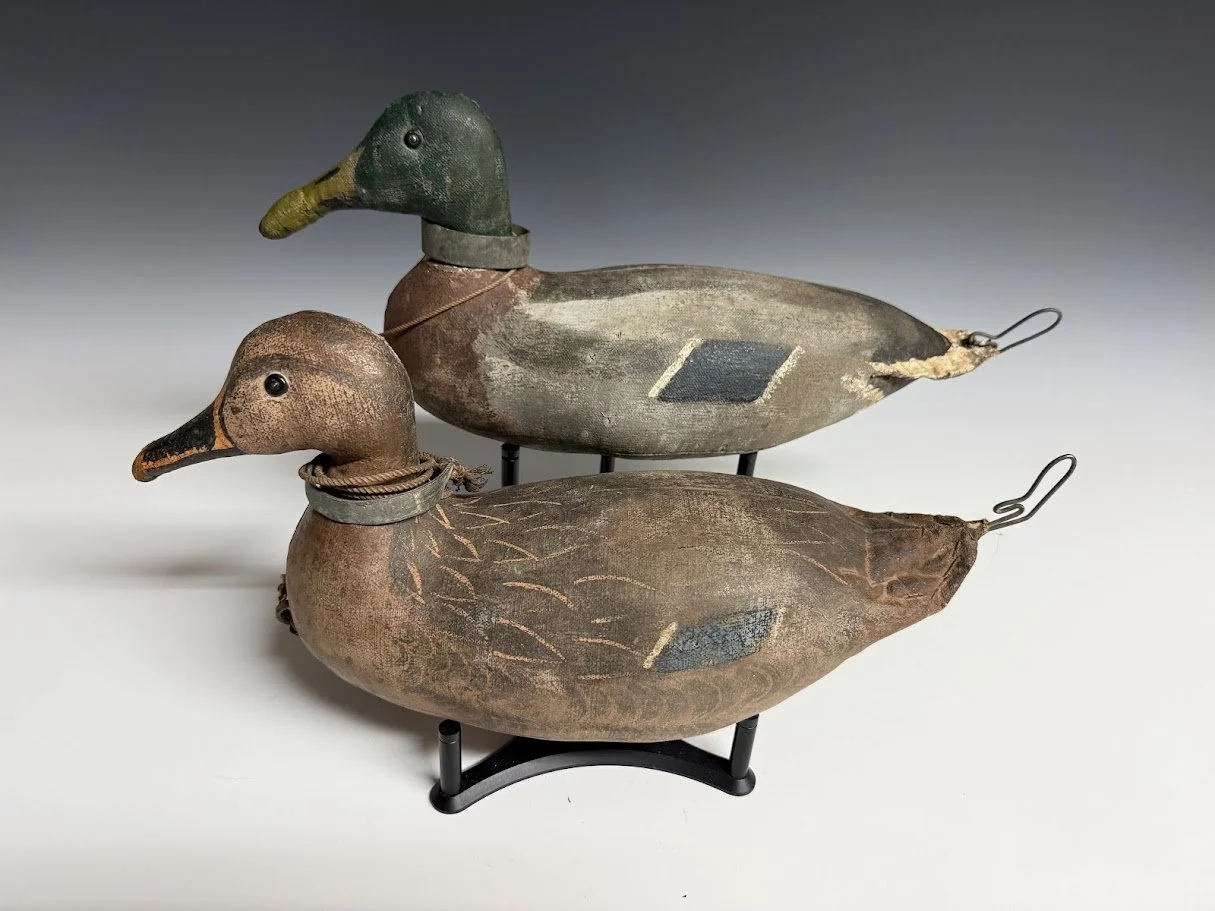 7_24_26_LefeverMallardPair2.jpg