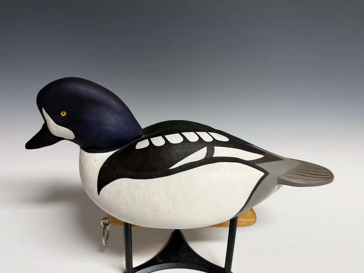 9_2_26_WerdickGoldeneye2.jpg