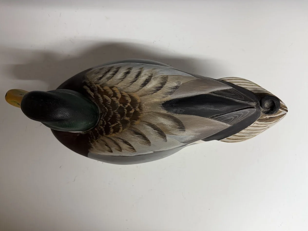 6_8_26_SnyderMallard3.jpg