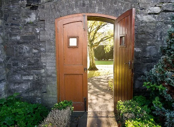 The Narrow Door