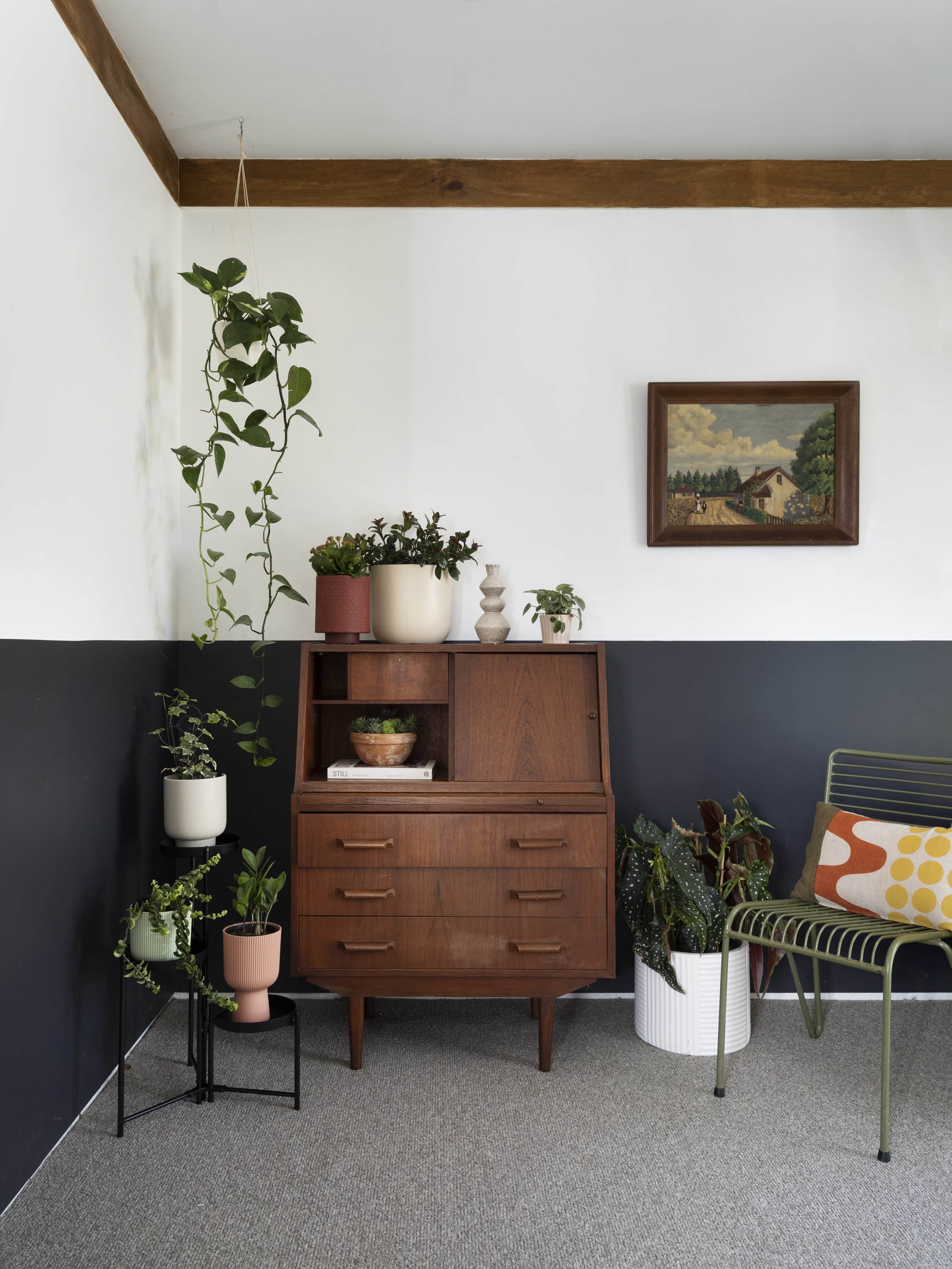 indoor plants_11.jpeg