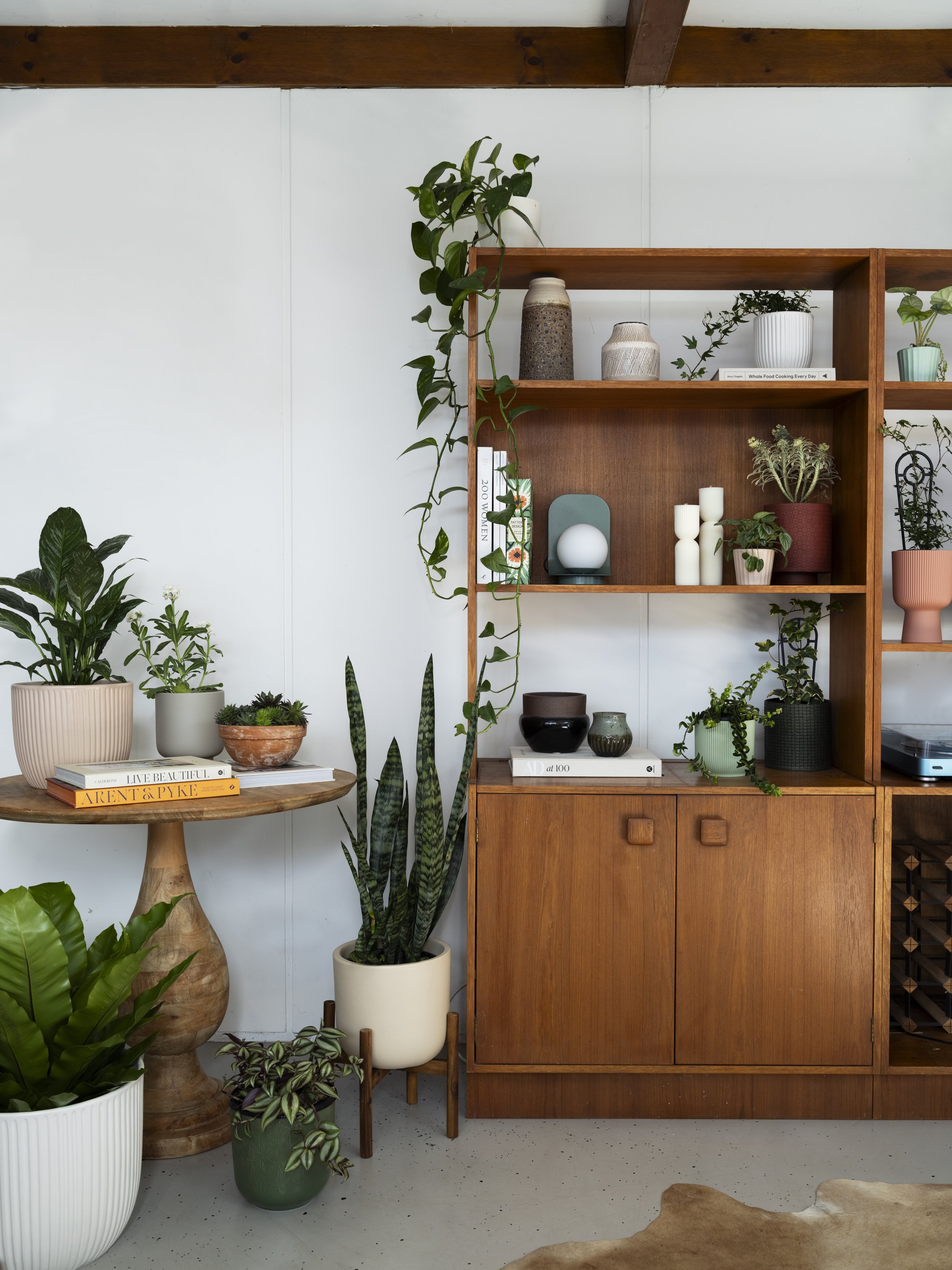 Bunnings Magazine //
Styling: Katie Turner