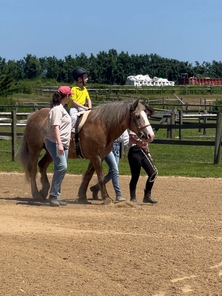 Back in the saddle with my favorite 🐴 Noodles @ctreeny 💙