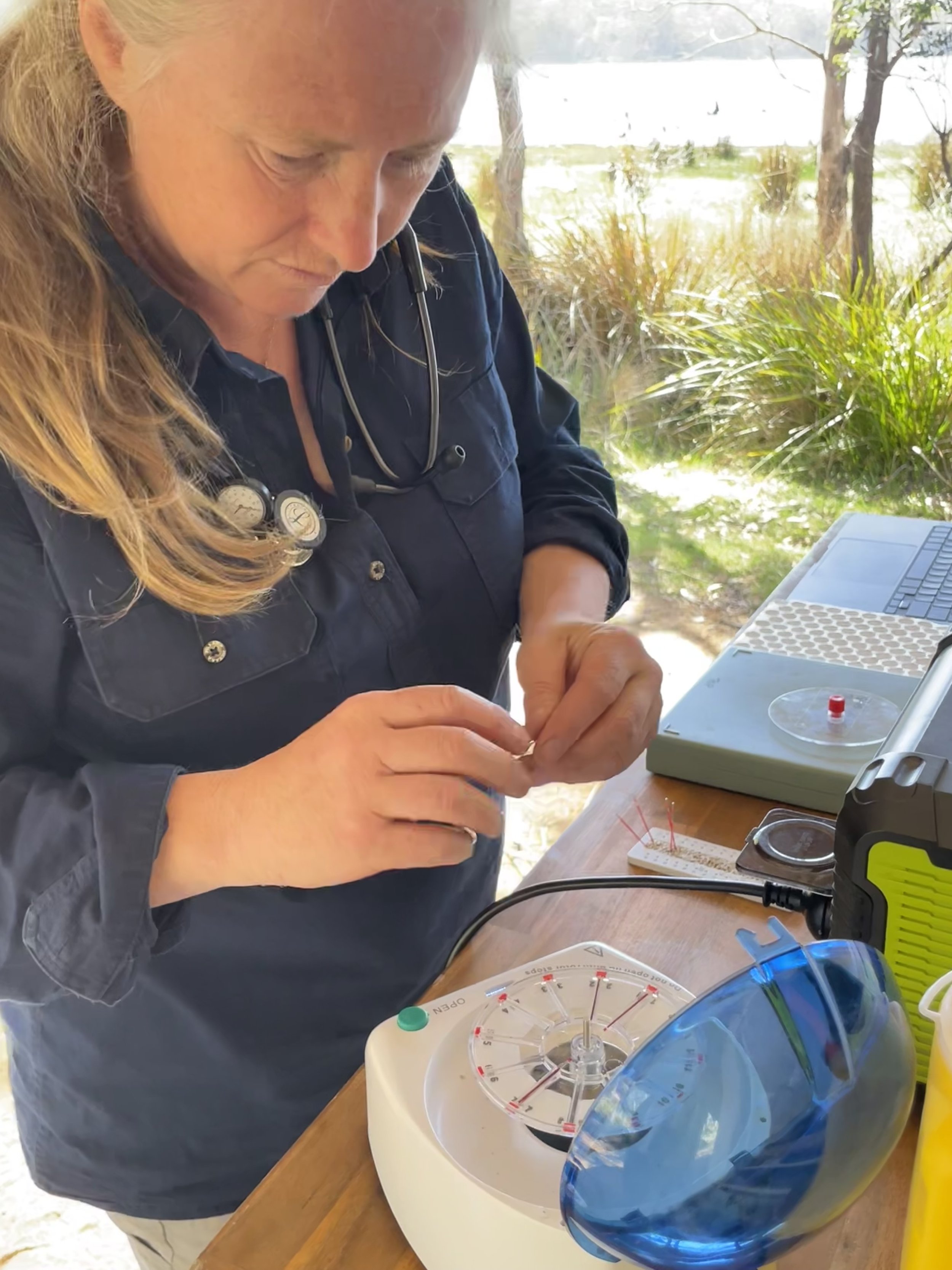 Veterinary Ecologist conducting DNA analysis on gut contents