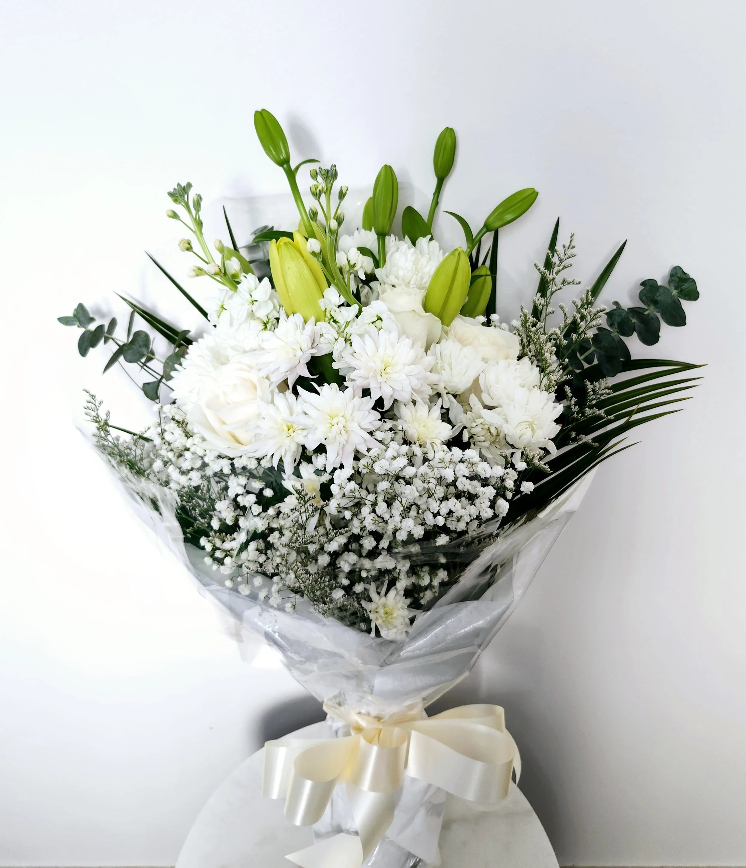 20250122_110431.jpg (Copy) (Copy) (Copy)