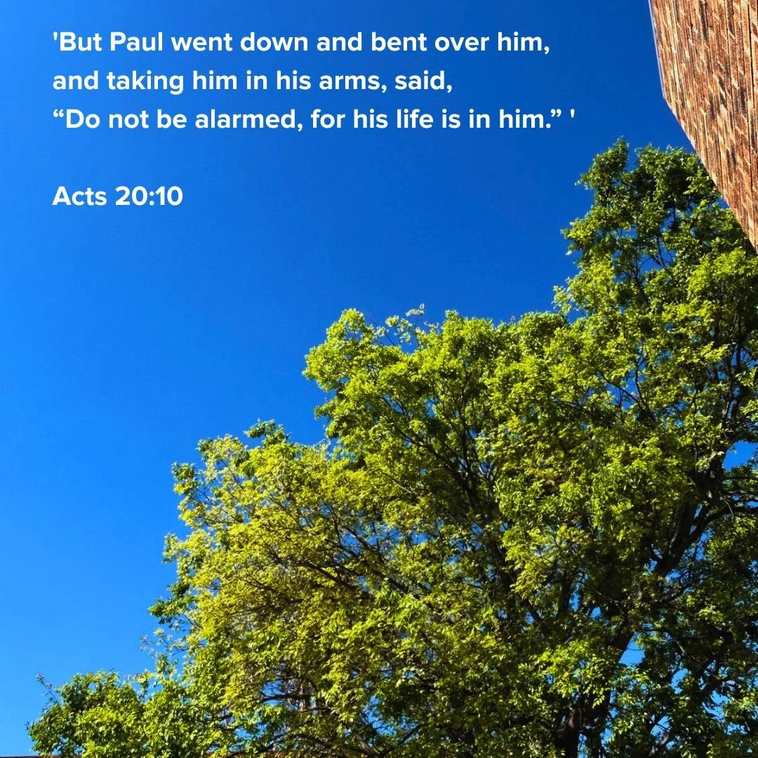 Tomorrow Sunday 21st of September Ps Nuno Viveiros will continue in the series &quot;Growing Together in Christ&quot; with Acts 20:1-12. After the service you have the opportunity to discuss what has been preached with &quot; Bible Conversations&quot