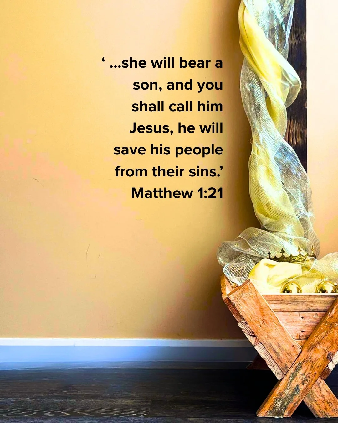 This Sunday the 21st of December its our Christmas Service. There will be a BBQ, there will be dessert, a Jumping Castle, lots of friendly people. Its going to be a great time, you should come!