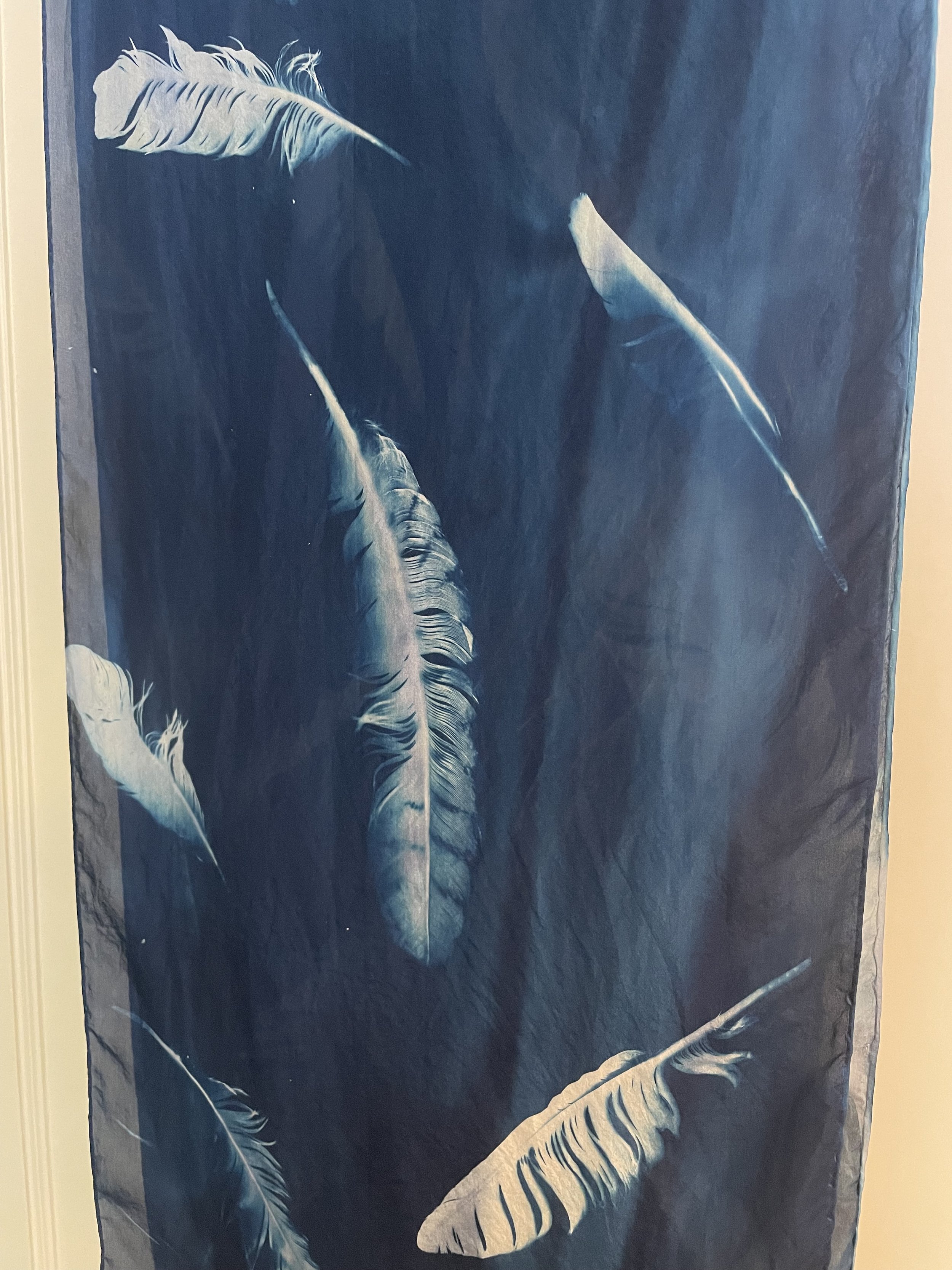 feathers.jpg