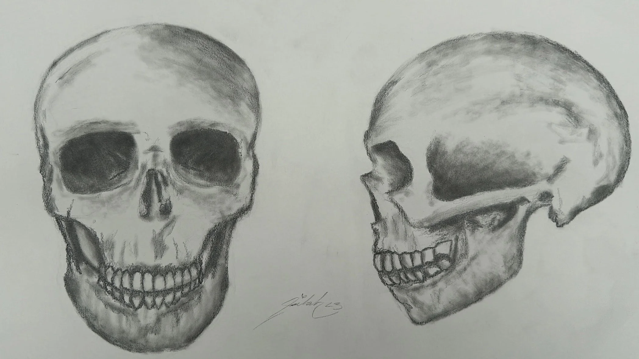 "Brain"
Graphite 
SPR '24