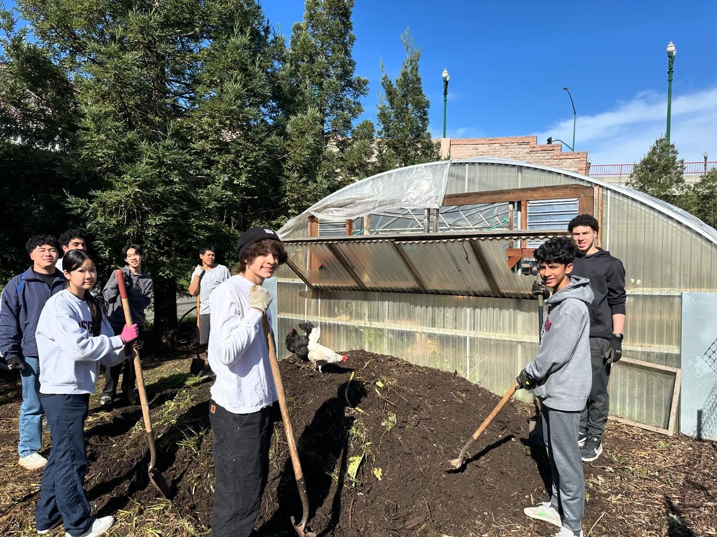 All ages at the farm today for our Saturday morning volunteer day ☀️🌱

Today we planted potatoes, green onions, and zinnias, pruned strawberries, removed broccoli old plants, and more. We love our dedicated volunteers 🤗