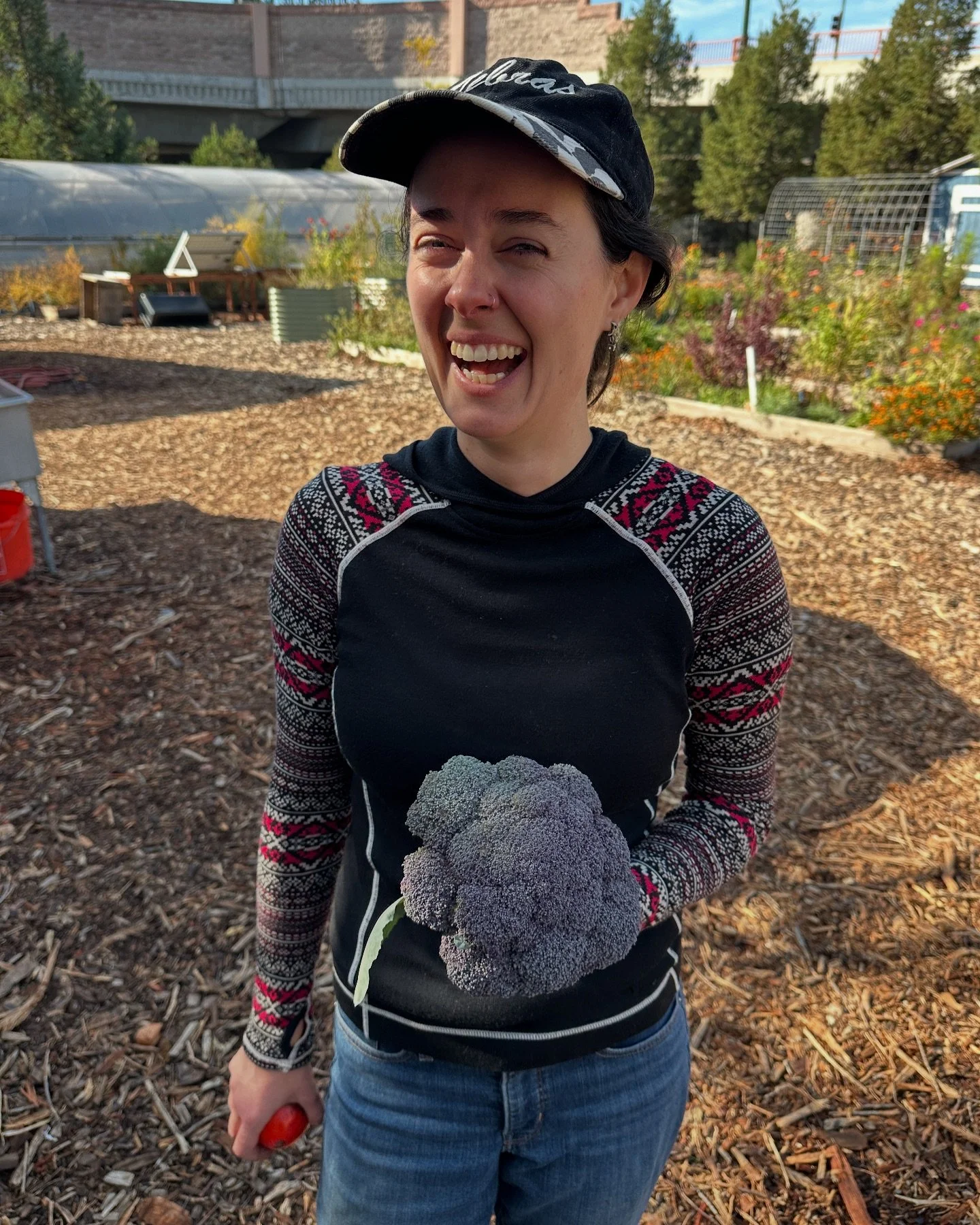 The pure joy of farming together 🤩 

A few reminders:
Potluck and art sale next Saturday at 11:30 am 
Farm will be closed Dec 15-Jan 4th 
End of the year giving us in full swing! Donate on our website to keep the farm open and thriving! 

#farming #