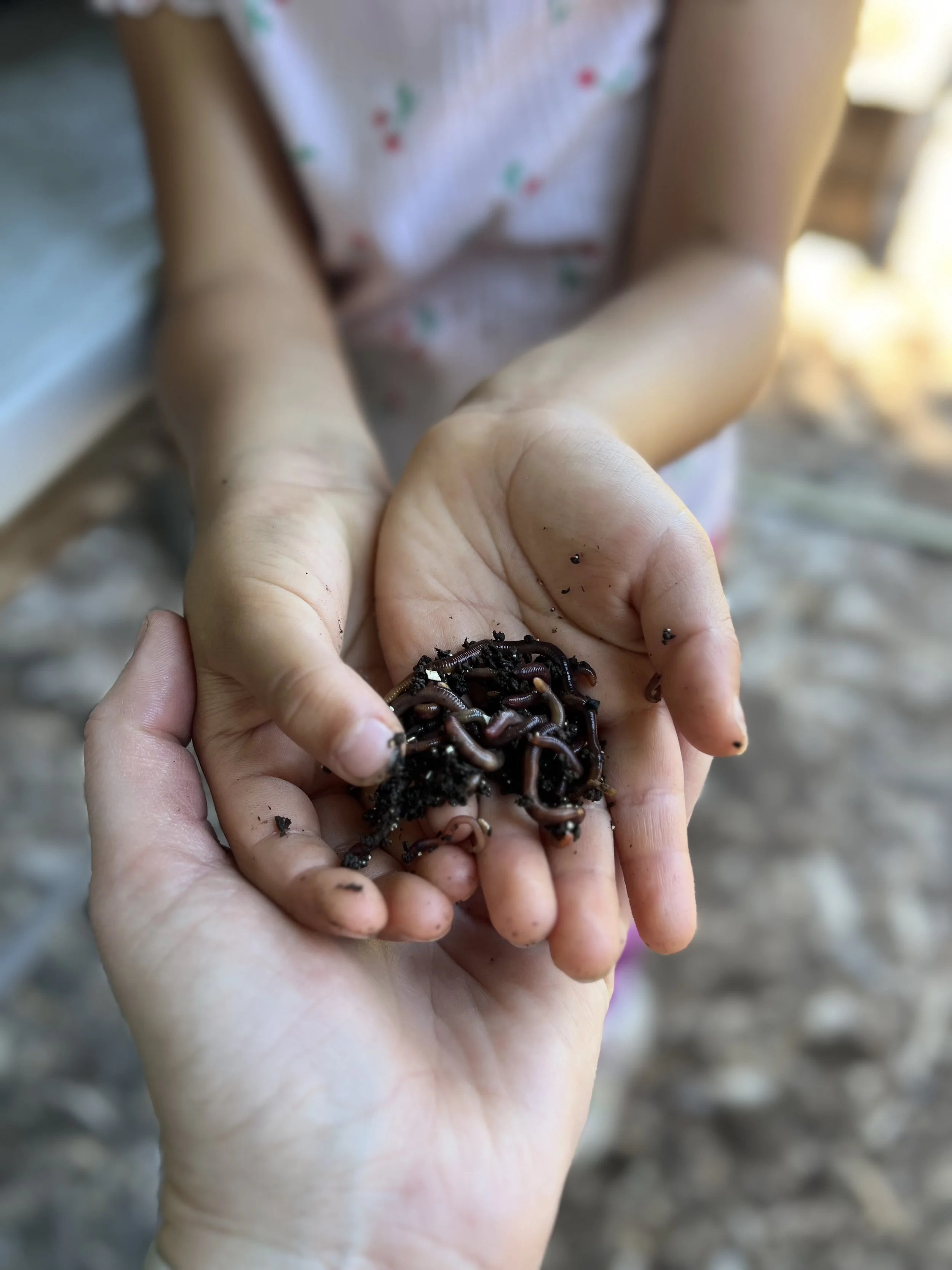 Worms, Waste, and Wonder
