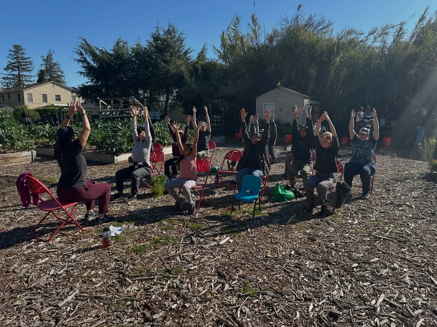 Mini workshops: today we kicked off the first farm yoga session lead by Clara (one of our volunteers). What a lovely way to soak up the beautiful sun on this lovely Saturday ☀️🌱

Be sure to join us on Saturday for our new pop up workshop/ event sess